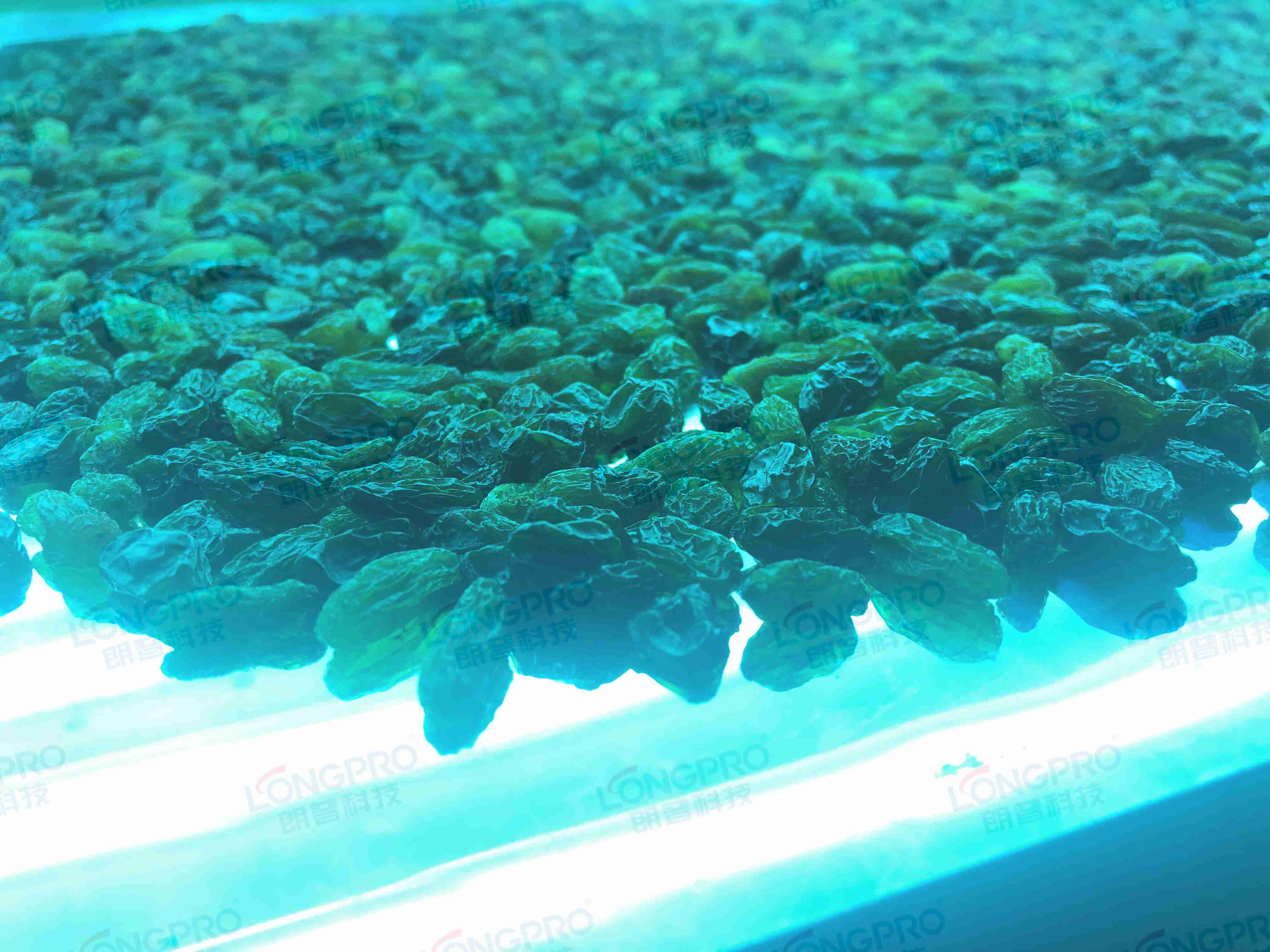 食品細(xì)菌超標(biāo)怎么解決？utf-8