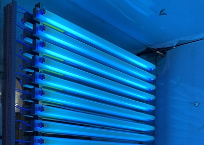 如何通過UV紫外光照實驗箱構(gòu)建動物皮膚光老化模型？