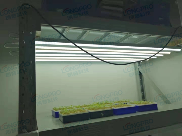 案例發(fā)布—華南師范大學.jpg 案例發(fā)布—華南師范大學.jpg